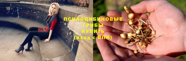 не бодяженный Надым