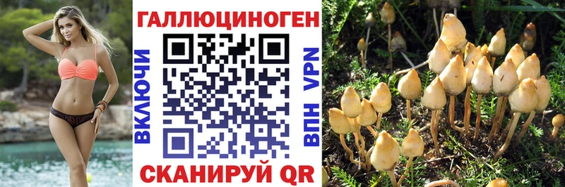 цены наркотик  Абакан  Галлюциногенные грибы прущие грибы 