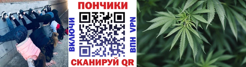 Бошки Шишки ГИДРОПОН  гидра ONION  Абакан 